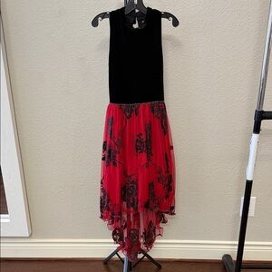 Gorgeous Like New Dress